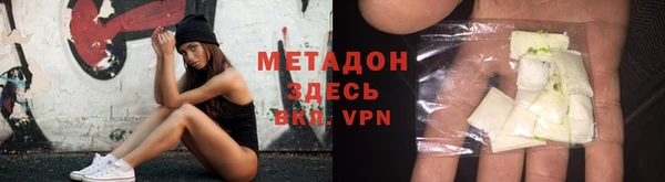 твердый Тайга