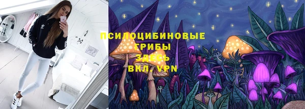 твердый Тайга