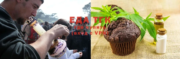 твердый Тайга