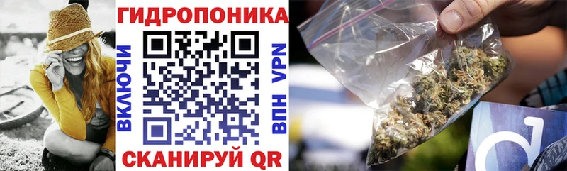 Конопля White Widow  Купить где  Ульяновск 